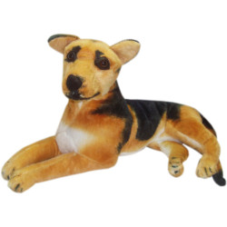 Cachorro deitado