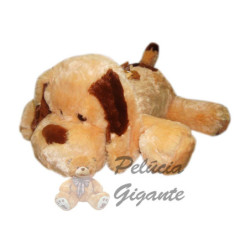 cachorro,Ursos grandes